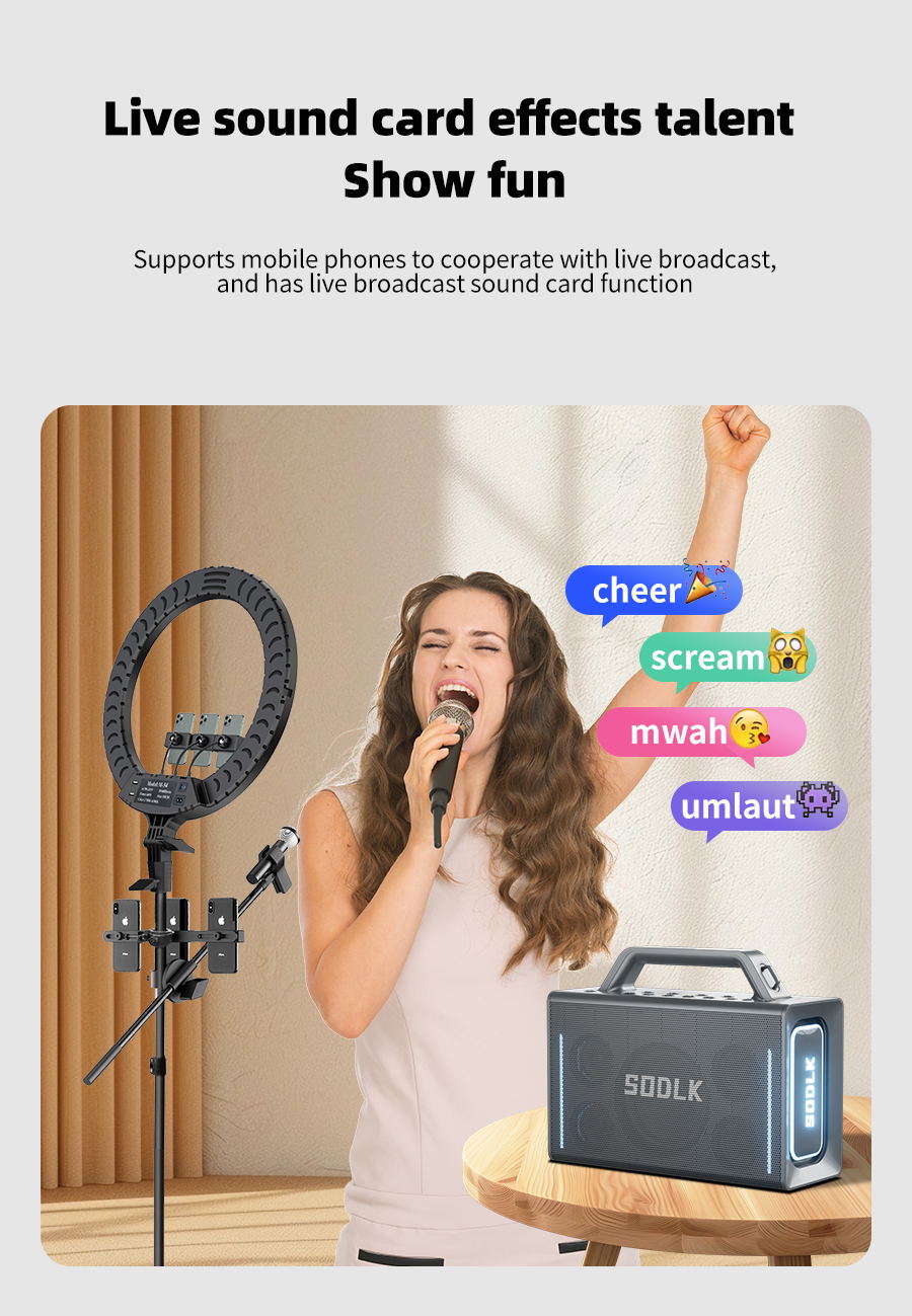 Professional 200w Stereo Big Speakers (图6) S1116 (10).jpg